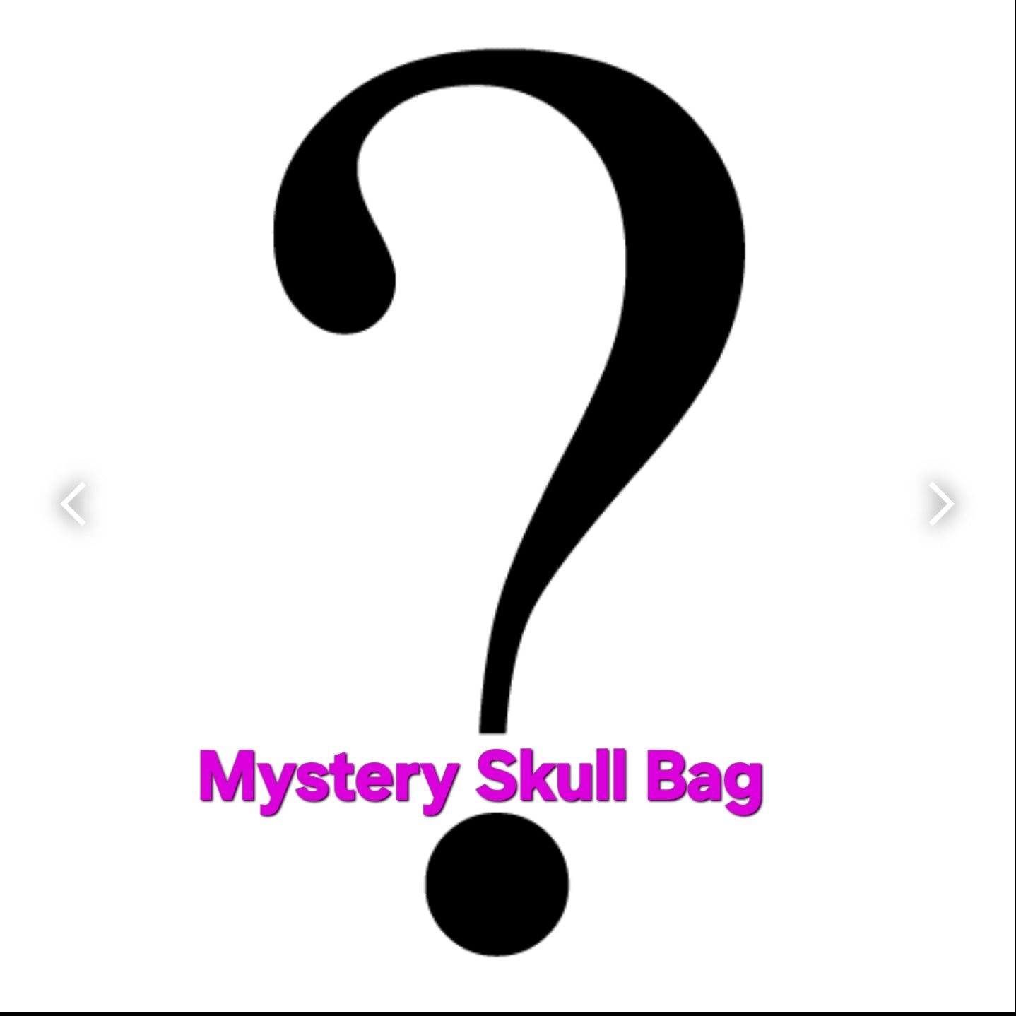 Ladies' Mystery Skull Bag Bundle